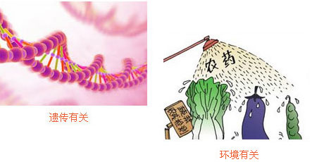 胎记病因